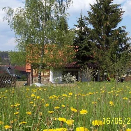 Ferienhaus Harz Villa Allrode Exteriör bild