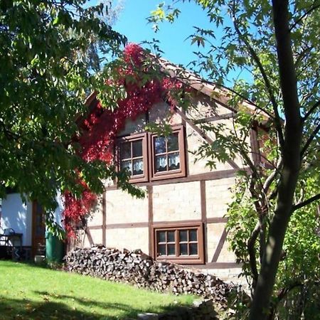 Ferienhaus Harz Villa Allrode Exteriör bild