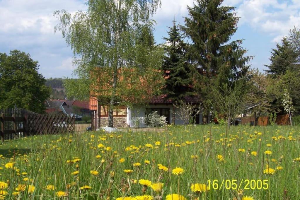 Ferienhaus Harz Villa Allrode Exteriör bild