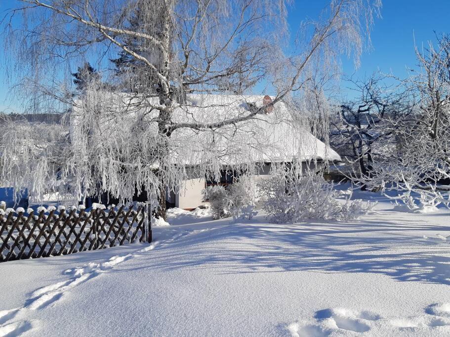 Ferienhaus Harz Villa Allrode Exteriör bild