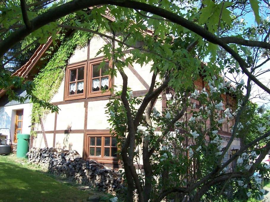 Ferienhaus Harz Villa Allrode Exteriör bild